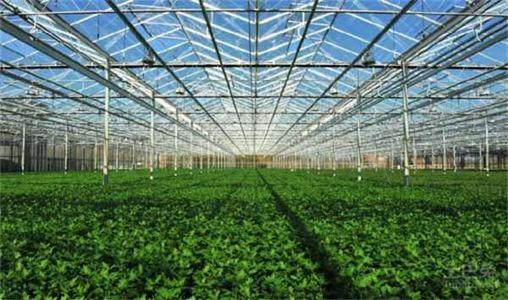养殖温室大棚的外部遮阳在夏天可用来冷却温室并保护屋顶：